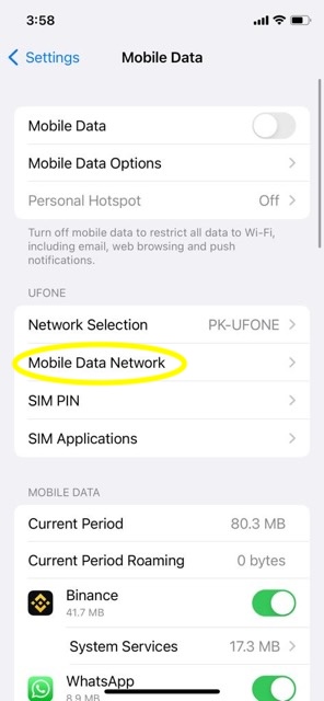 iphone mobile networks apn metropcs