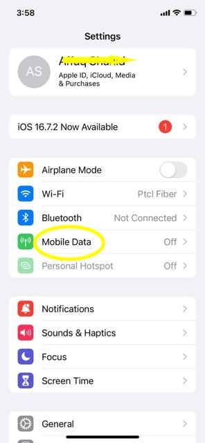 iphone mobile data option